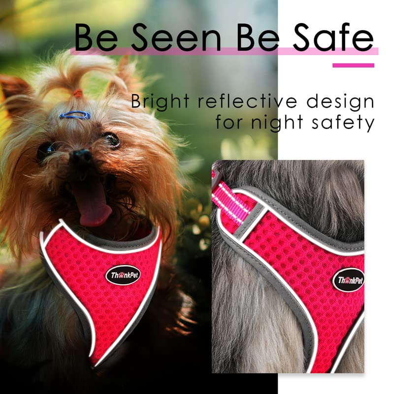 ThinkPet diseño ligero para verano con malla