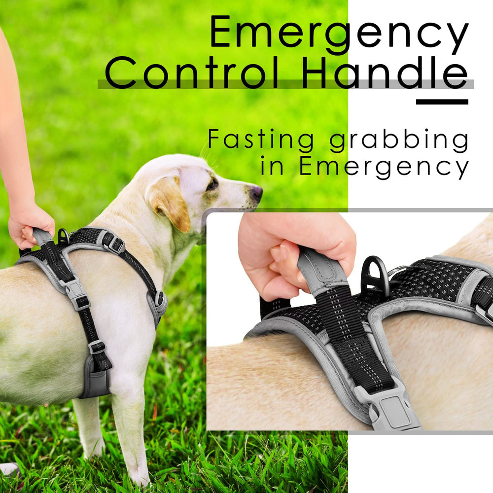 ThinkPet arnés con mango trasero para control cercano en emergencias.