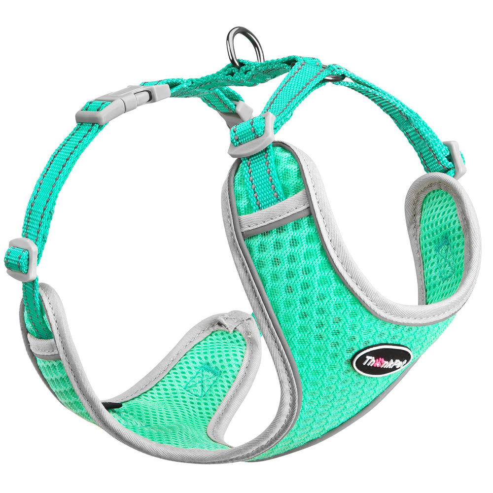 ThinkPet arnés reflectante de malla aire para mascota en azul verdoso