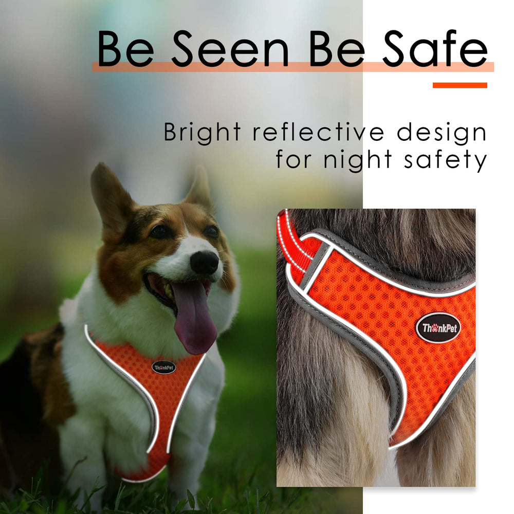ThinkPet arnés resistente al agua para días soleados.