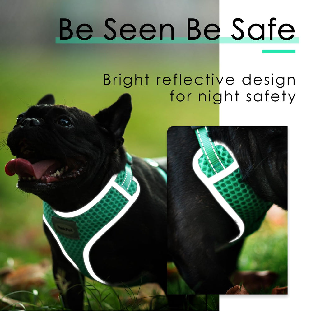 ThinkPet diseño ligero para climas cálidos y uso diario.