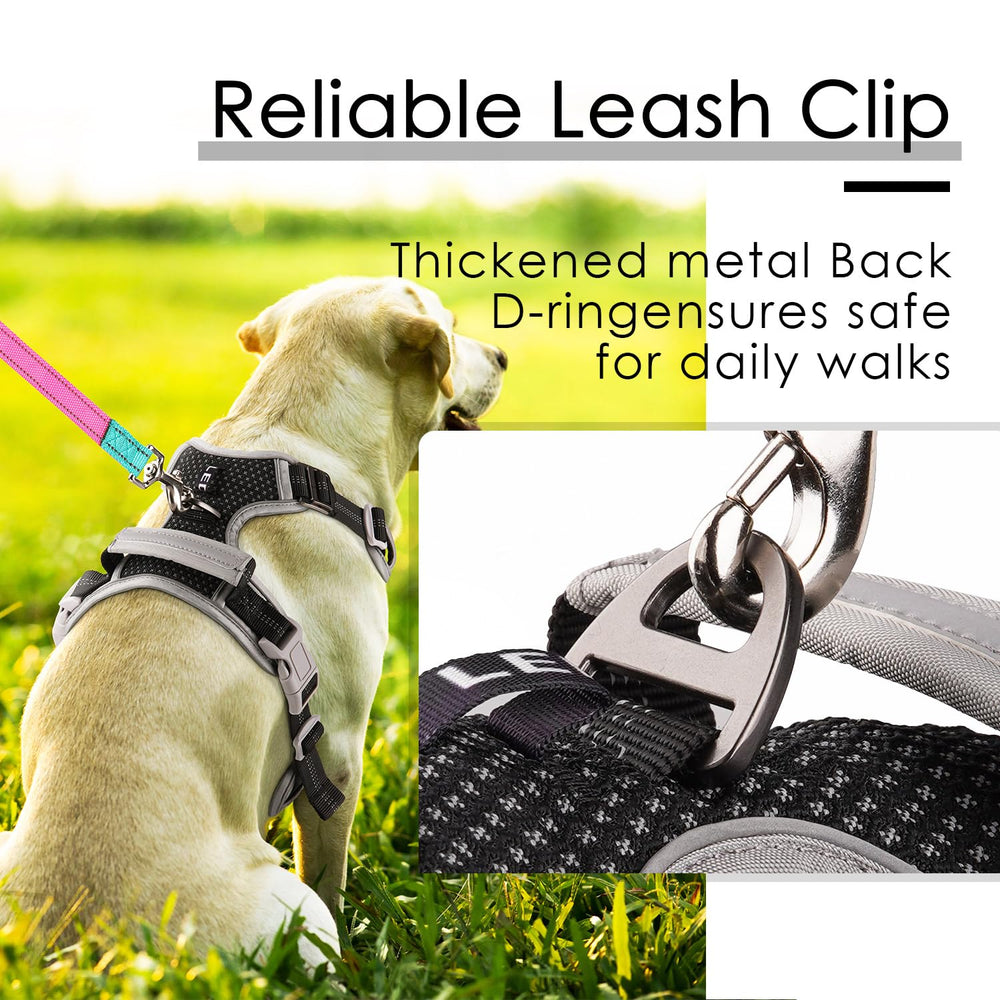 ThinkPet arnés para paseos diarios cómodo y estable.