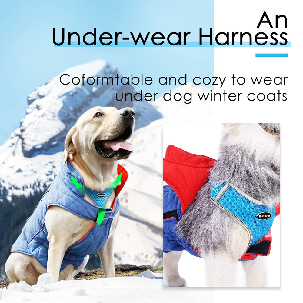 ThinkPet diseño confort para perros medianos durante paseos diarios.