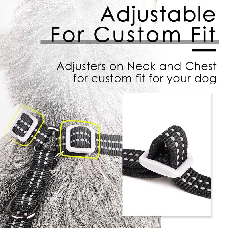 ThinkPet diseno sin tirones para perros y gatos activos