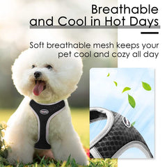 ThinkPet diseno comodo para ponerselo y quitarlo facilmente