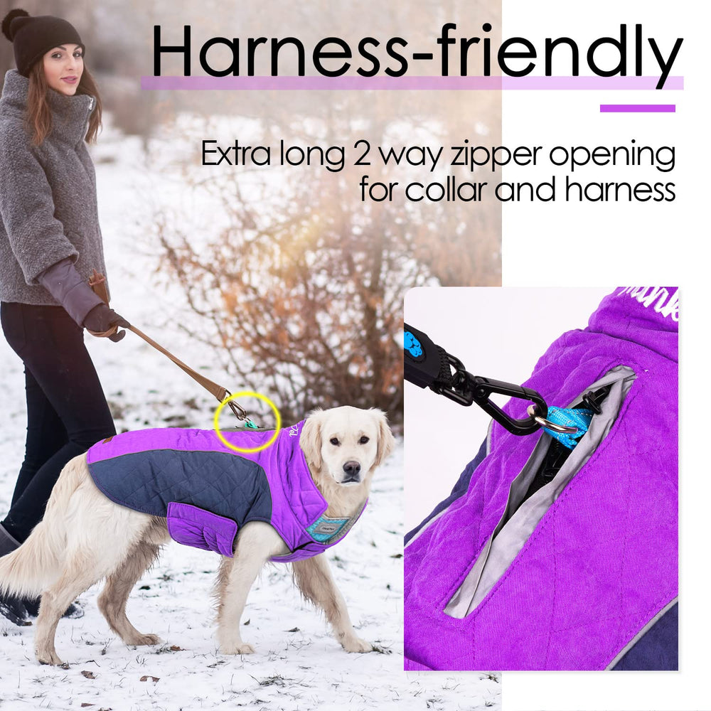 ThinkPet jaqueta para perros, ajuste con velcro, garantiza un ajuste seguro.