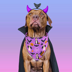 Bandana THLOH de doble capa suave, duradera y cómoda.
