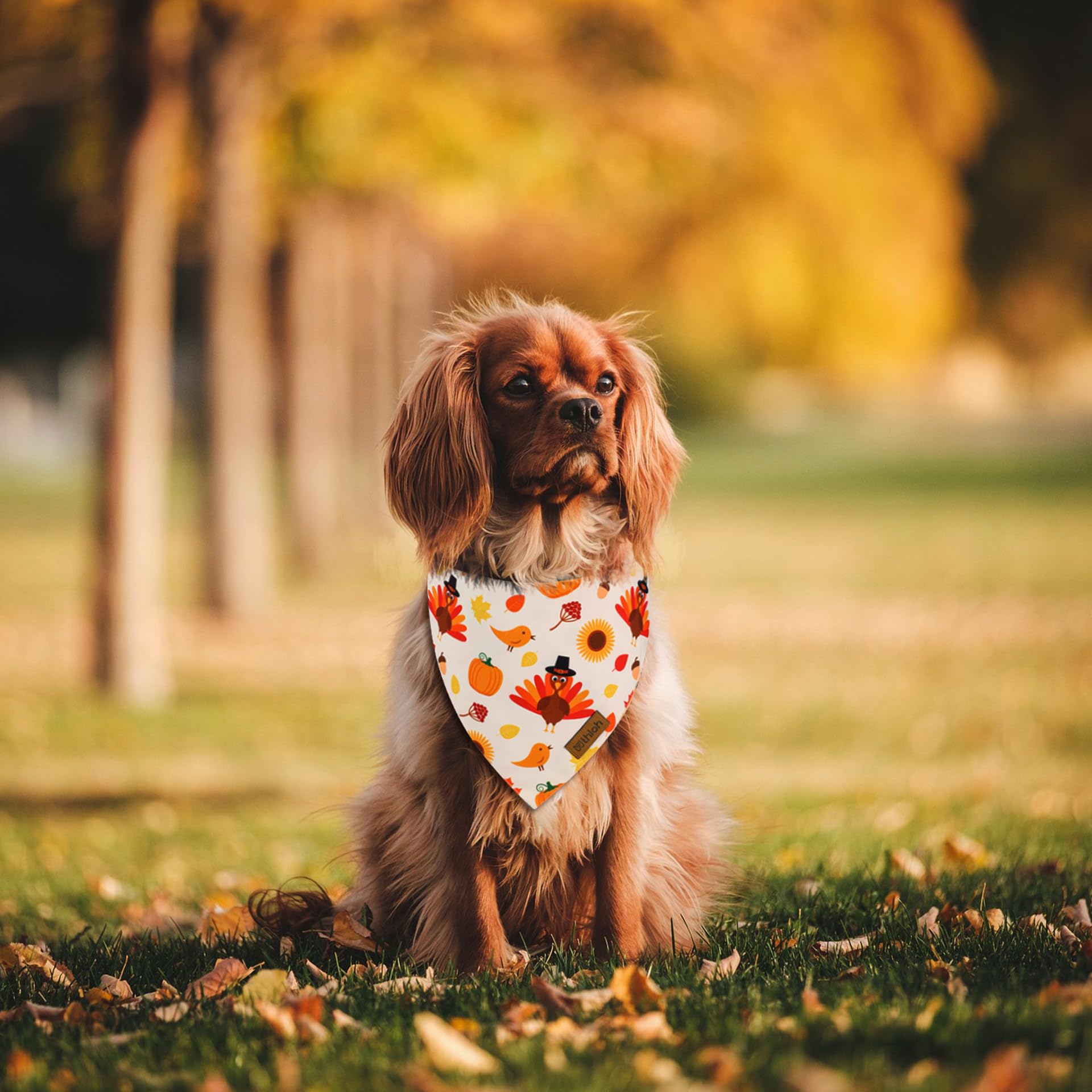 Bandanas THLOH en tela durable, lavado a máquina para uso frecuente.