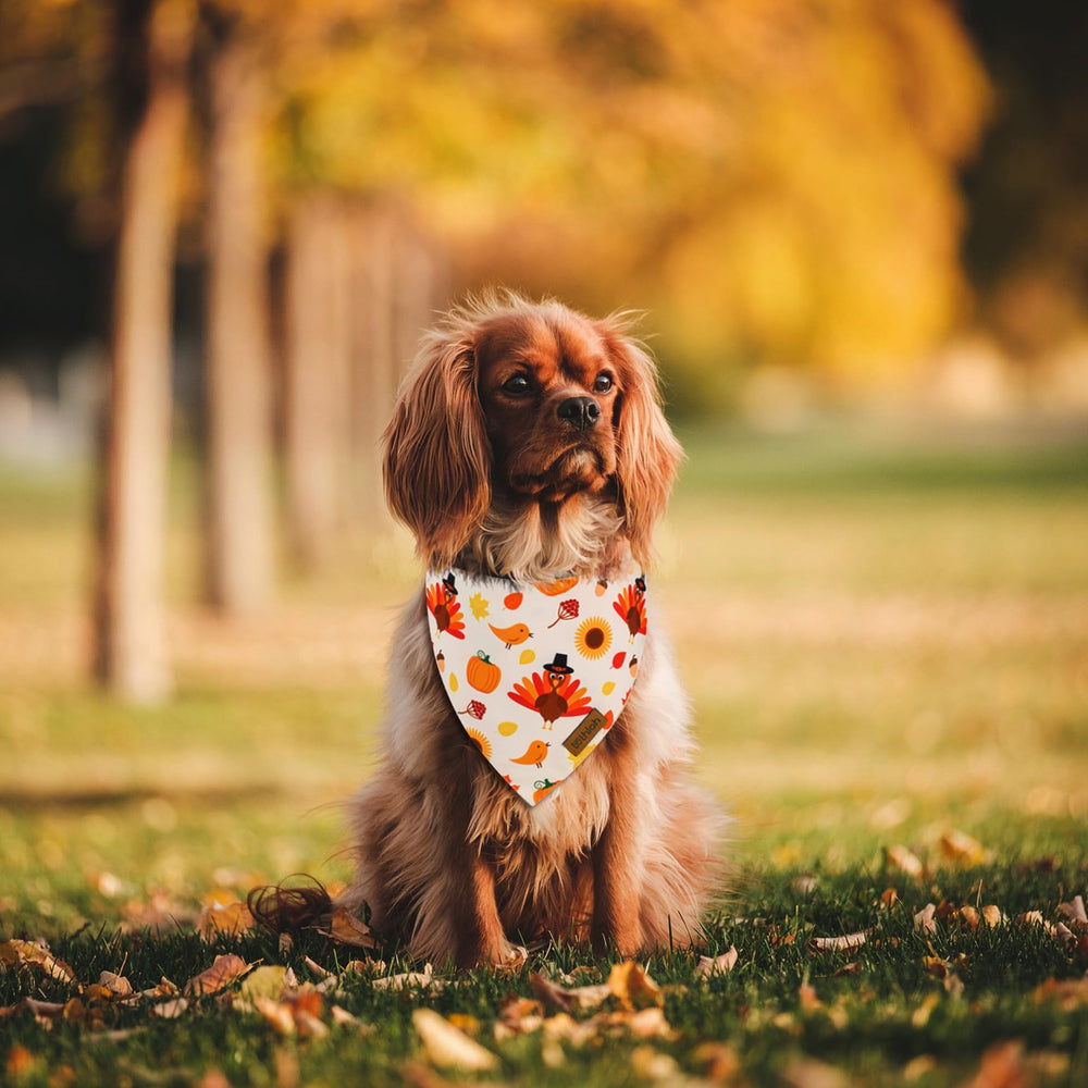 Bandanas THLOH en tela durable, lavado a máquina para uso frecuente.