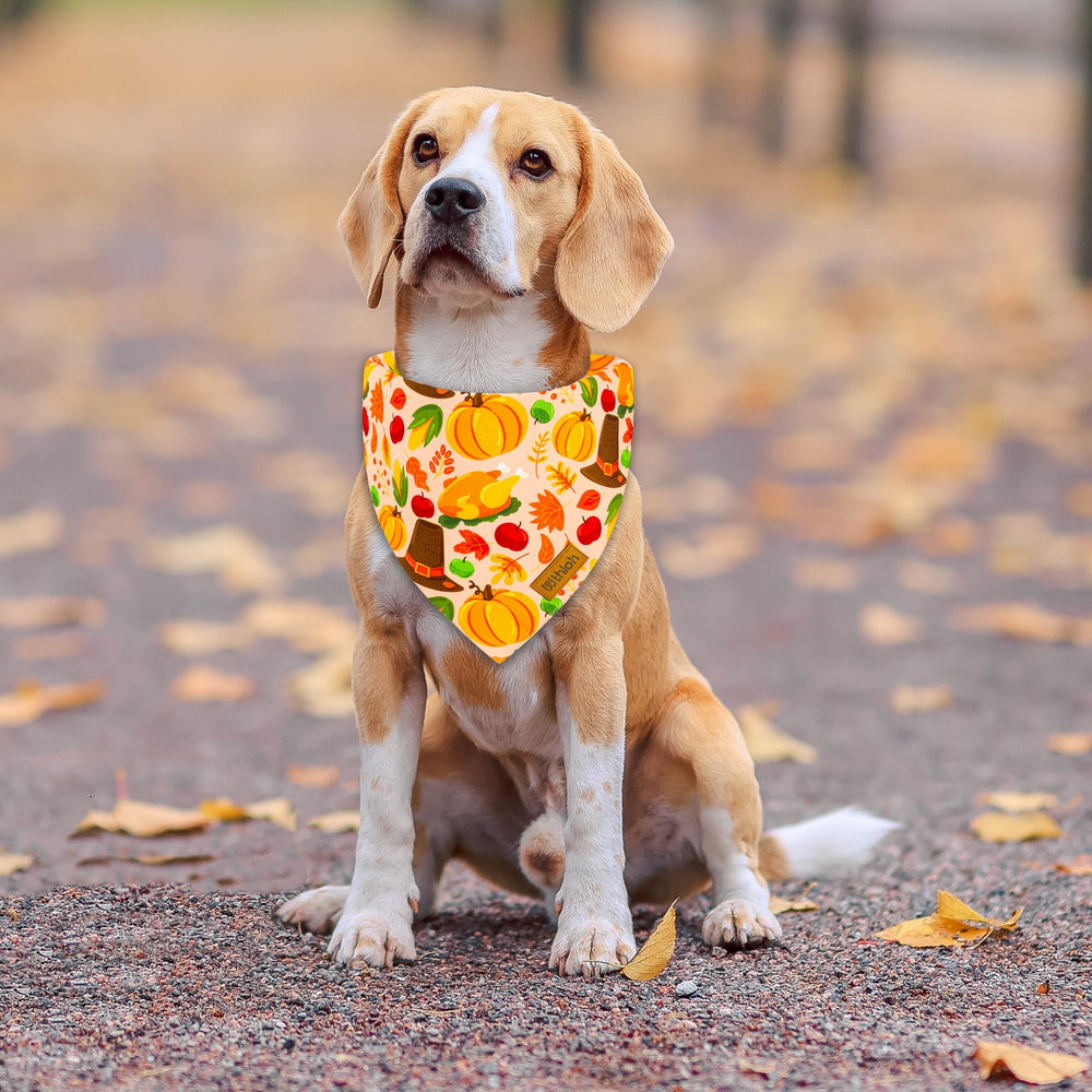 Bandanas THLOH reversibles con dos diseños en una sola bandana para variar looks.