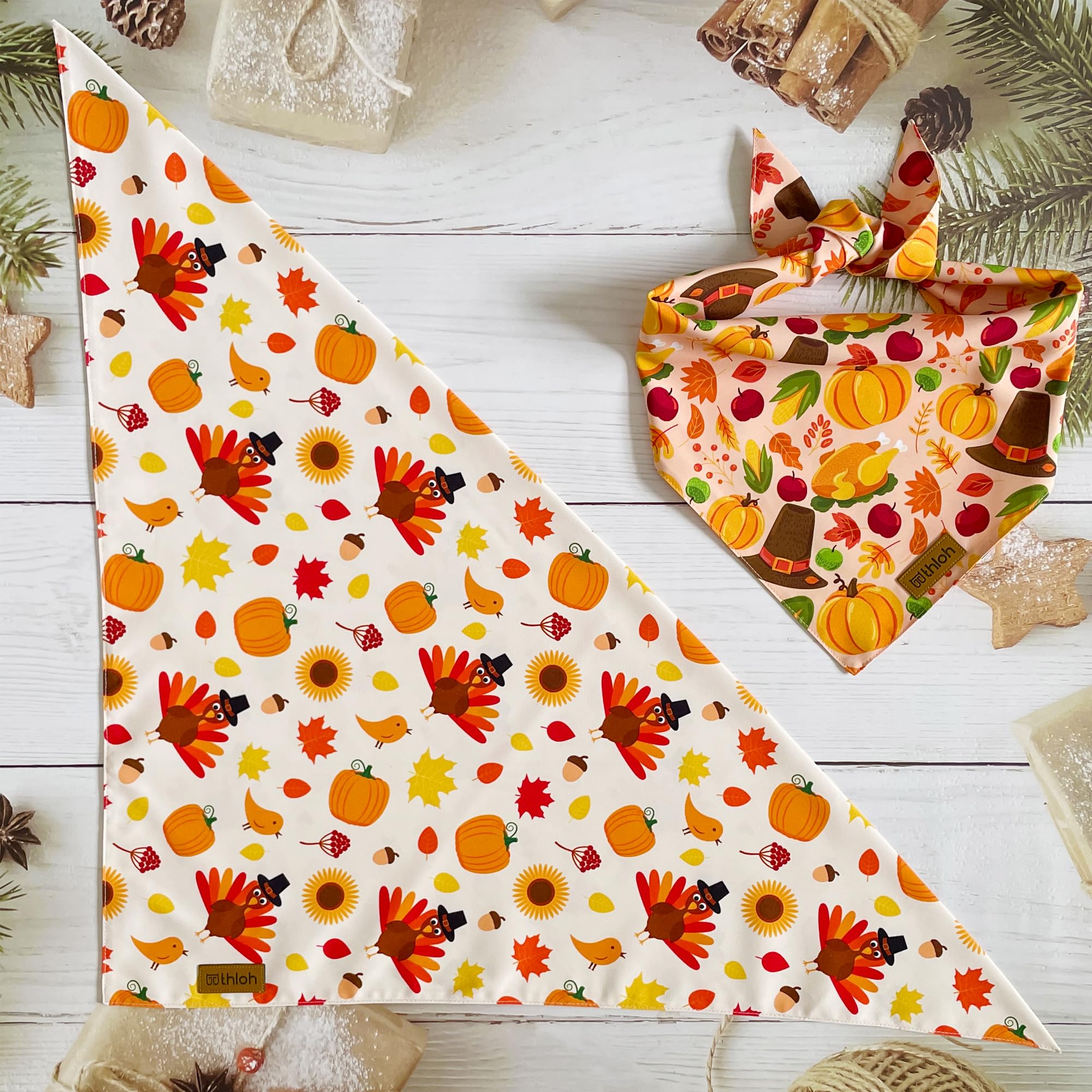 Bandanas THLOH para paseos otoñales y sesiones de fotos en familia.