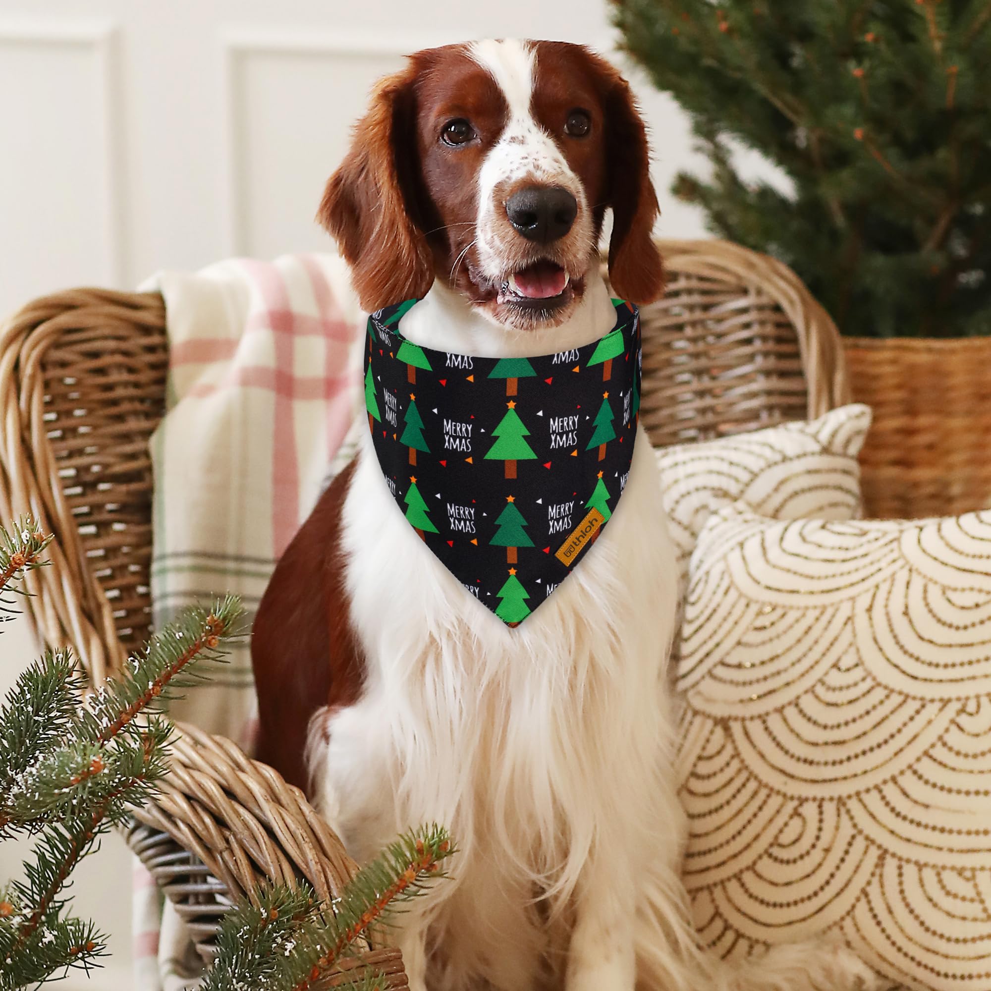 THLOH bandana tejido doble suave, protege la piel de tu mascota.