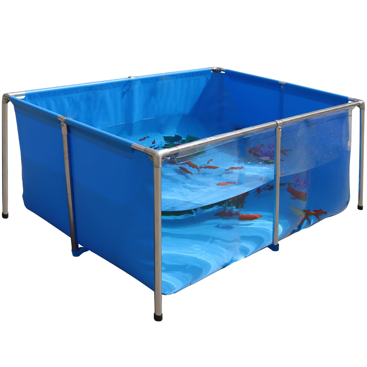 THOOUM tanque Koi con panel de visión clara para observar peces con facilidad.