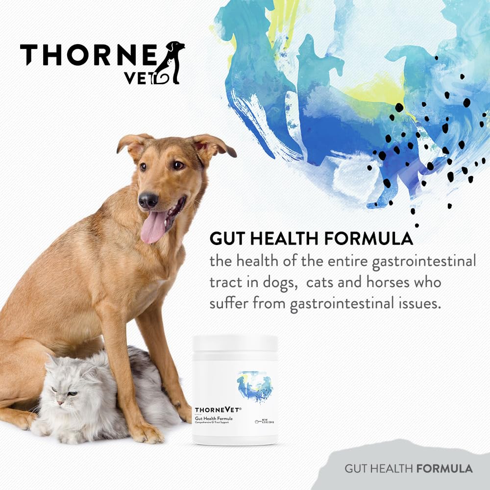 ThorneVET Gut Health Formula, probióticos para flora intestinal saludable