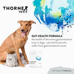 ThorneVET Gut Health Formula, probióticos para flora intestinal saludable