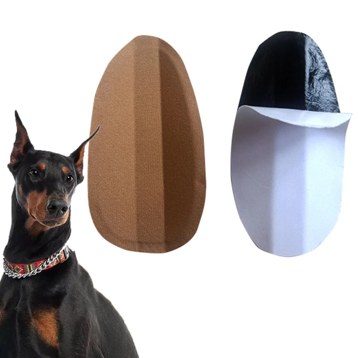THOUDONER soporte vertical de orejas para perros, posiciona de forma estable.