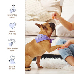 Three Dog Bakery Lick'n Crunch: aroma irresistible para reforzar momentos de juego