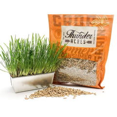 Thunder Acres avena procesada en EE. UU., garantía de trazabilidad y frescura.