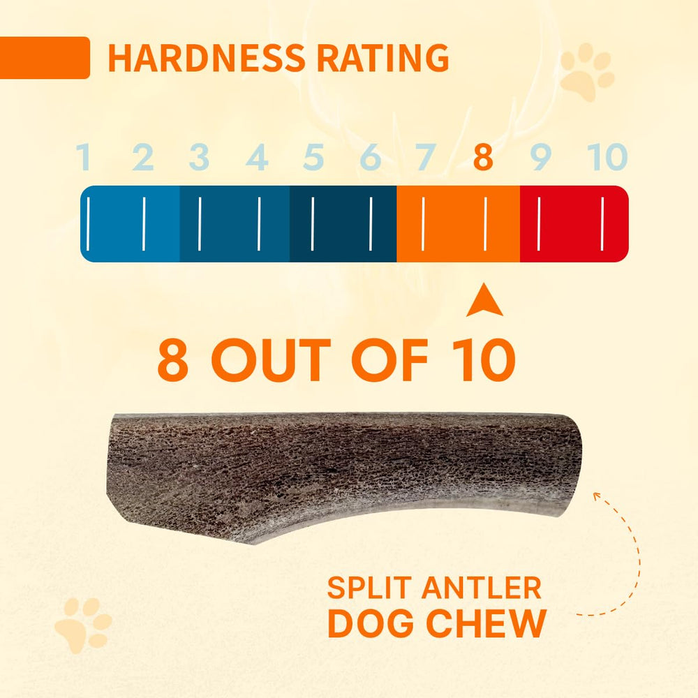 Tibetan Dog Chew: asta tibetana limpia dientes y aliento.
