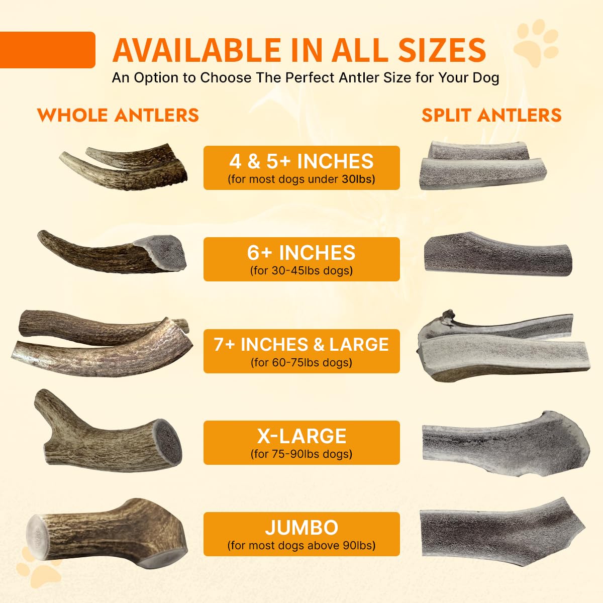 Tibetan Dog Chew: asta tibetana dividida para perros grandes.