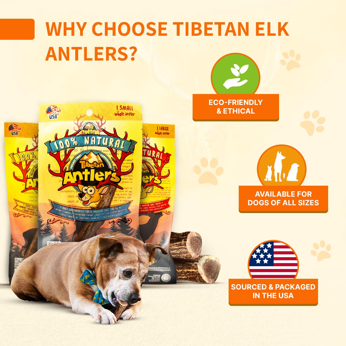 Tibetan Dog Chew: asta tibetana sin olor y sin manchas.