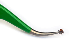 TickCheck pinzas punta fina: precisión para extraer garrapatas pequeñas.