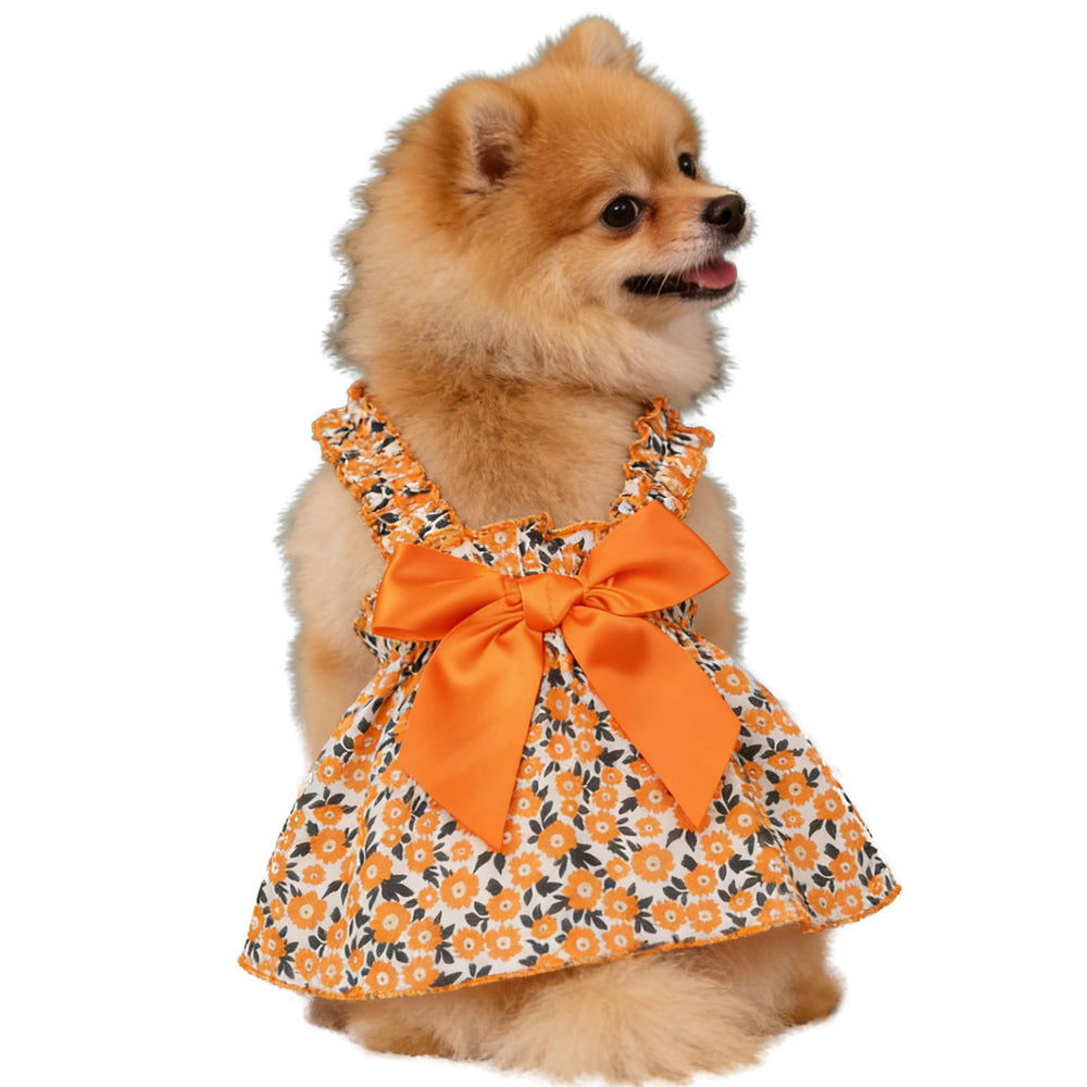 TIEEI vestido para perro con margarita, estilo princesa para paseos.