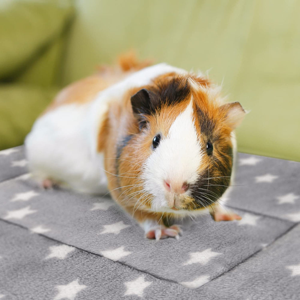 Cama de tamaño ideal para un conejo enano o dos cobayas.