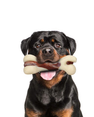 Tikaton Hueso resistente para masticar, ideal para perros activos.