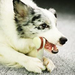 Tikaton juguete dental duradero en forma de hueso realista.