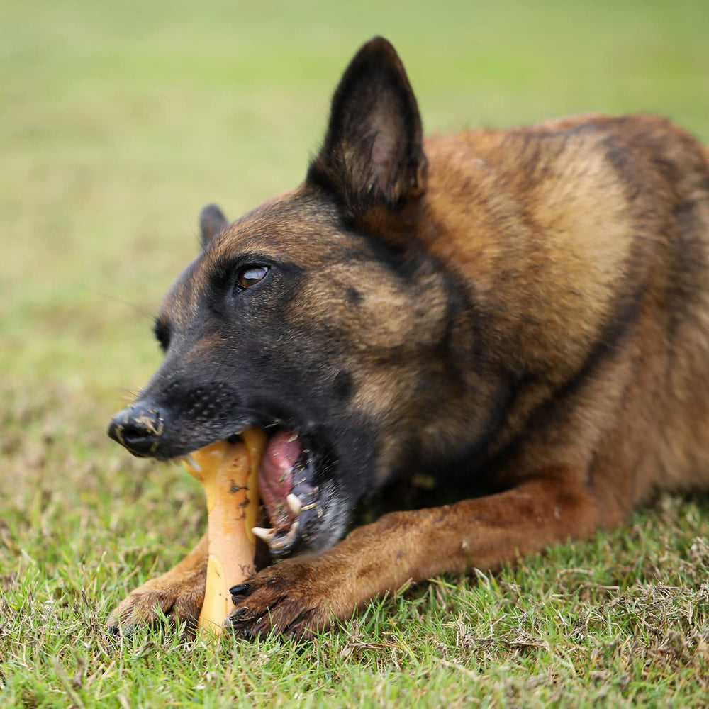 Tikaton, juguete mordedor duradero y seguro para perros de todas las tallas.