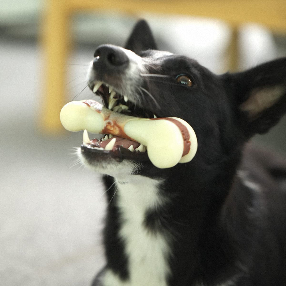 Tikaton para perros hasta 25 libras con juego constante.