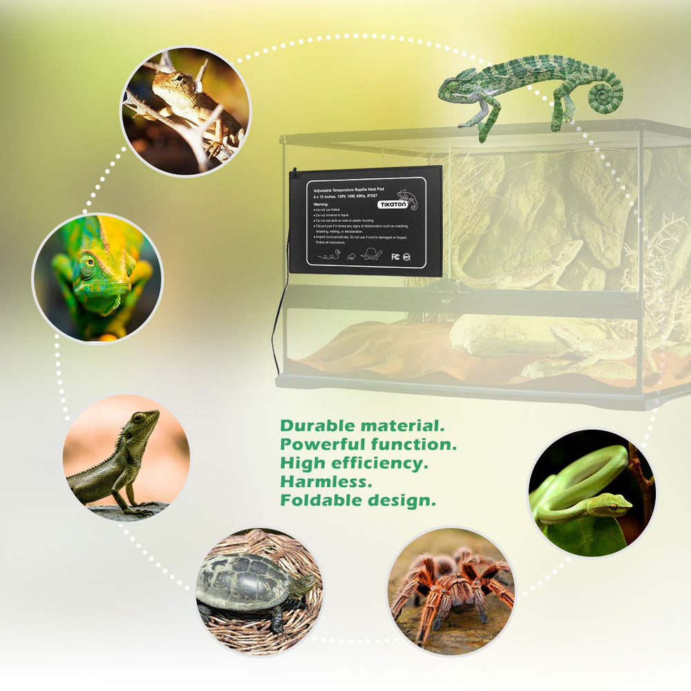 Tikaton uso seguro en terrarios de vidrio para reptiles.