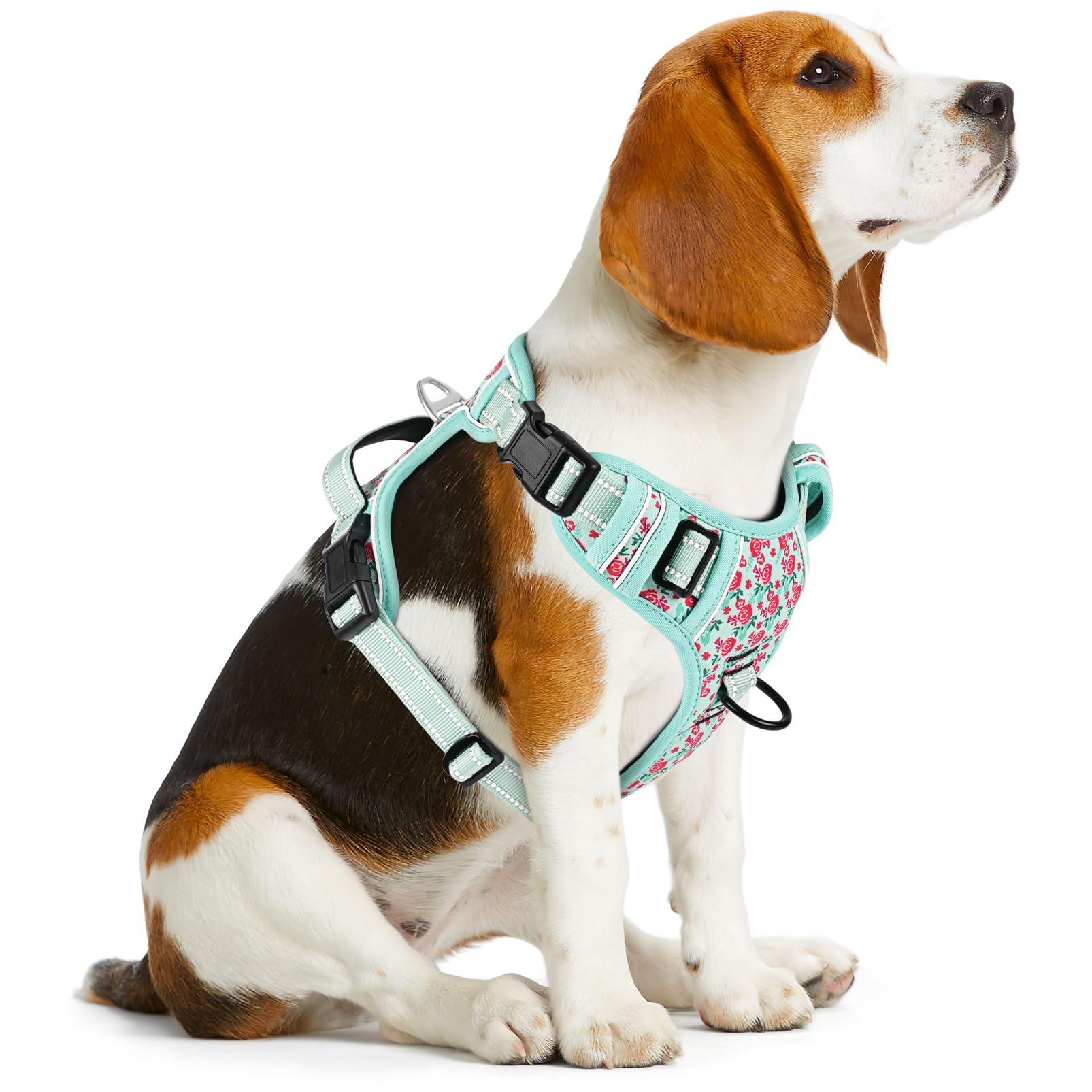 Arnés Timos con asa trasera para guiar al perro.