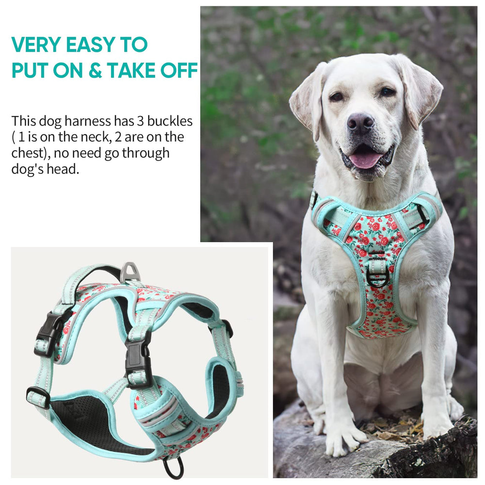 Arnés Timos ideal para perros pequeños, medianos y grandes durante caminatas.