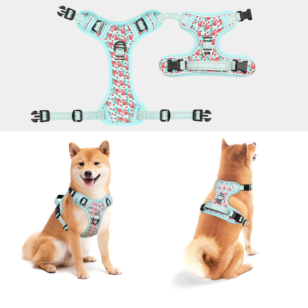 Arnés Timos diseño ergonómico para perros de todos los tamaños.