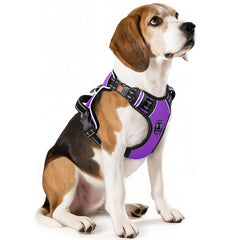 Arnés Timos para perro mediano con frontal reflectante para paseos nocturnos seguros.