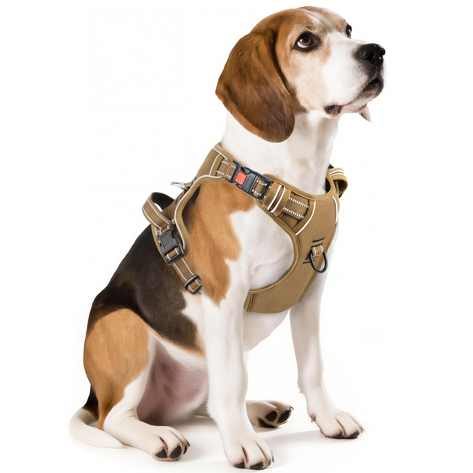 Arnés Timos para perro mediano con hebillas rápidas, fácil de poner.