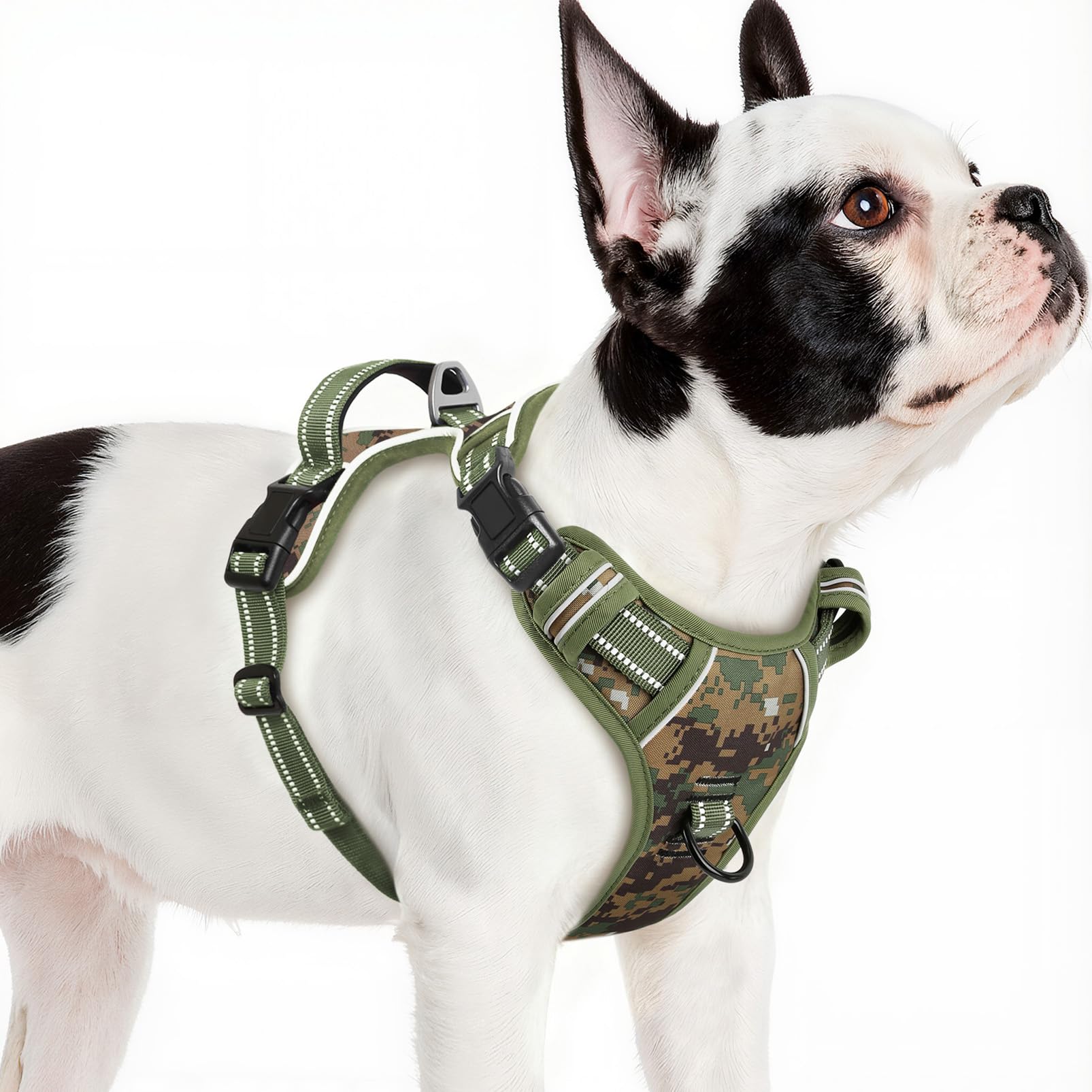 Arnés Timos para perro pequeño con hebillas rápidas, fácil de poner.