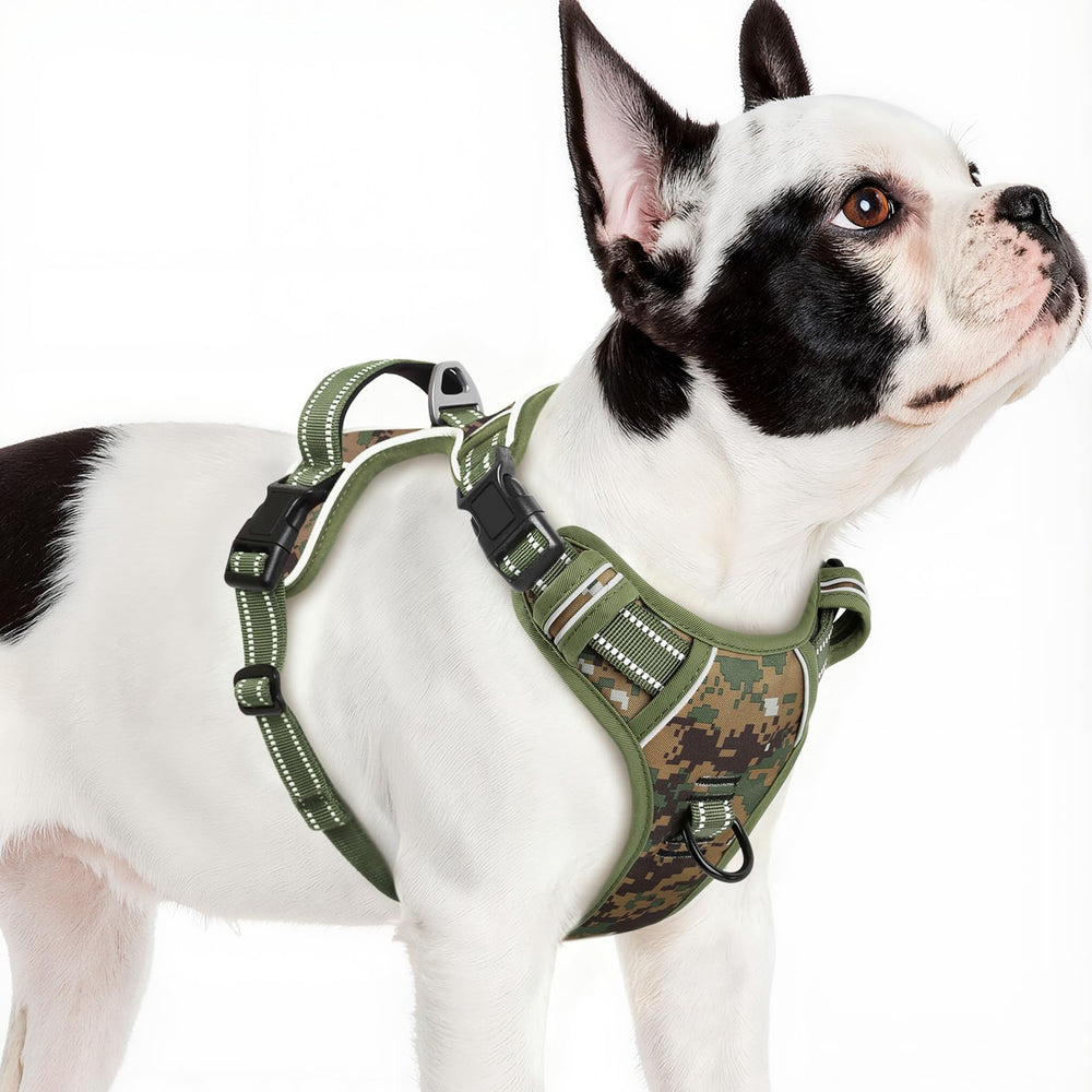 Arnés Timos para perro pequeño con hebillas rápidas, fácil de poner.