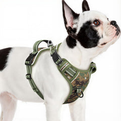 Arnés Timos para perro pequeño con hebillas rápidas, fácil de poner.