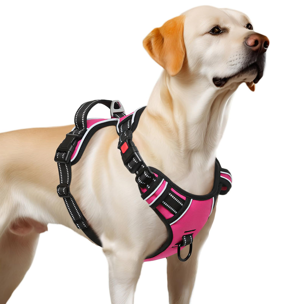 Arnés Timos talla XL para perros grandes y crecimiento cómodo.