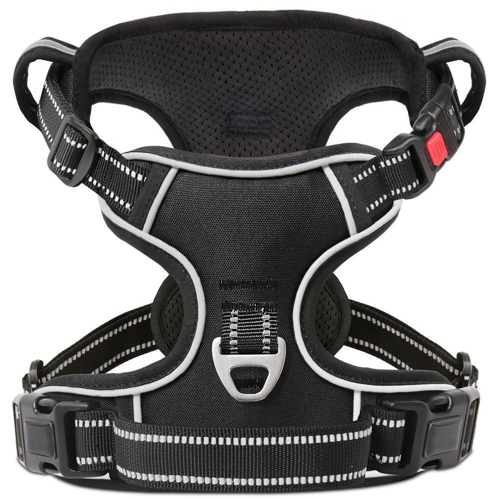 Arnés con clips frontal y dorsal para entrenamiento y paseos