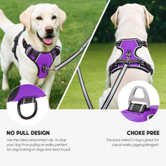 Arnés Timos, asa de control trasera para guiar al perro