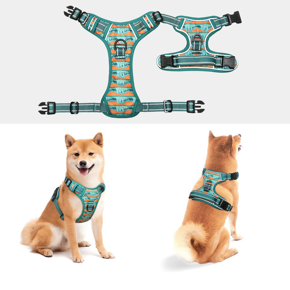 Talla L ajustable de Timos para perros grandes y crecimiento.