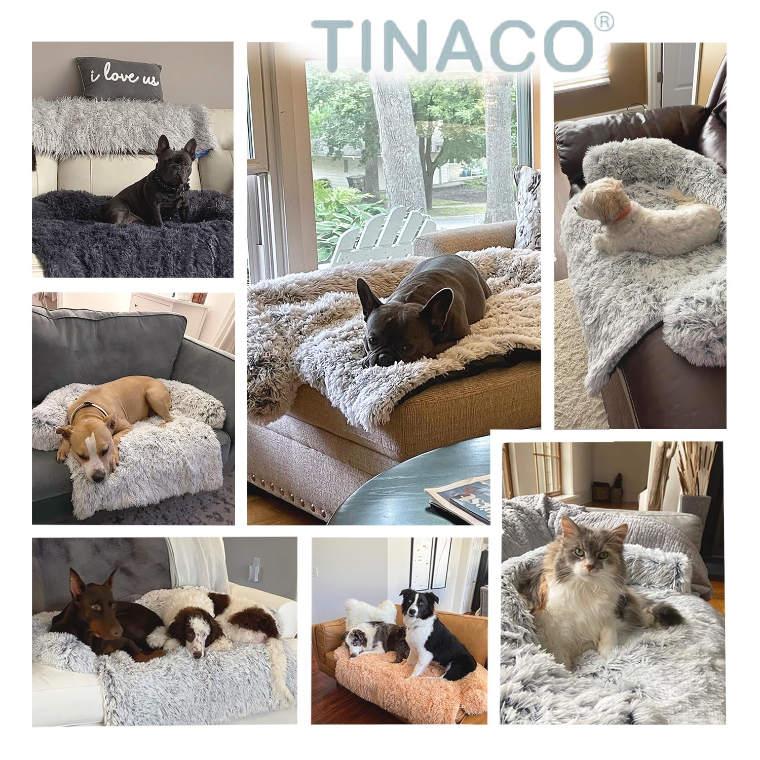 Tinaco cama lavable para mascotas con funda desmontable para limpieza fácil.