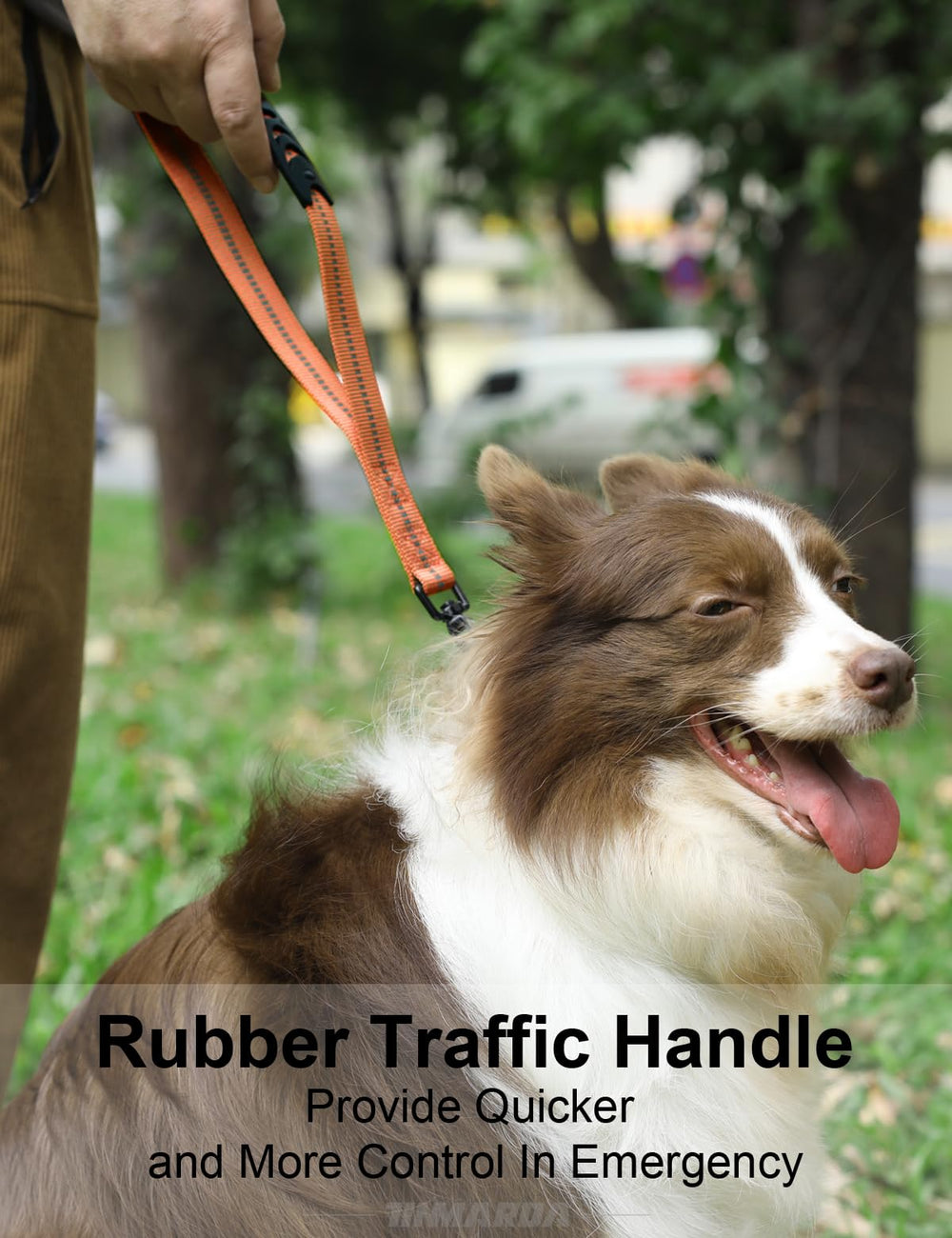 Tinmarda correa bungee elástica para paseos más cómodos.