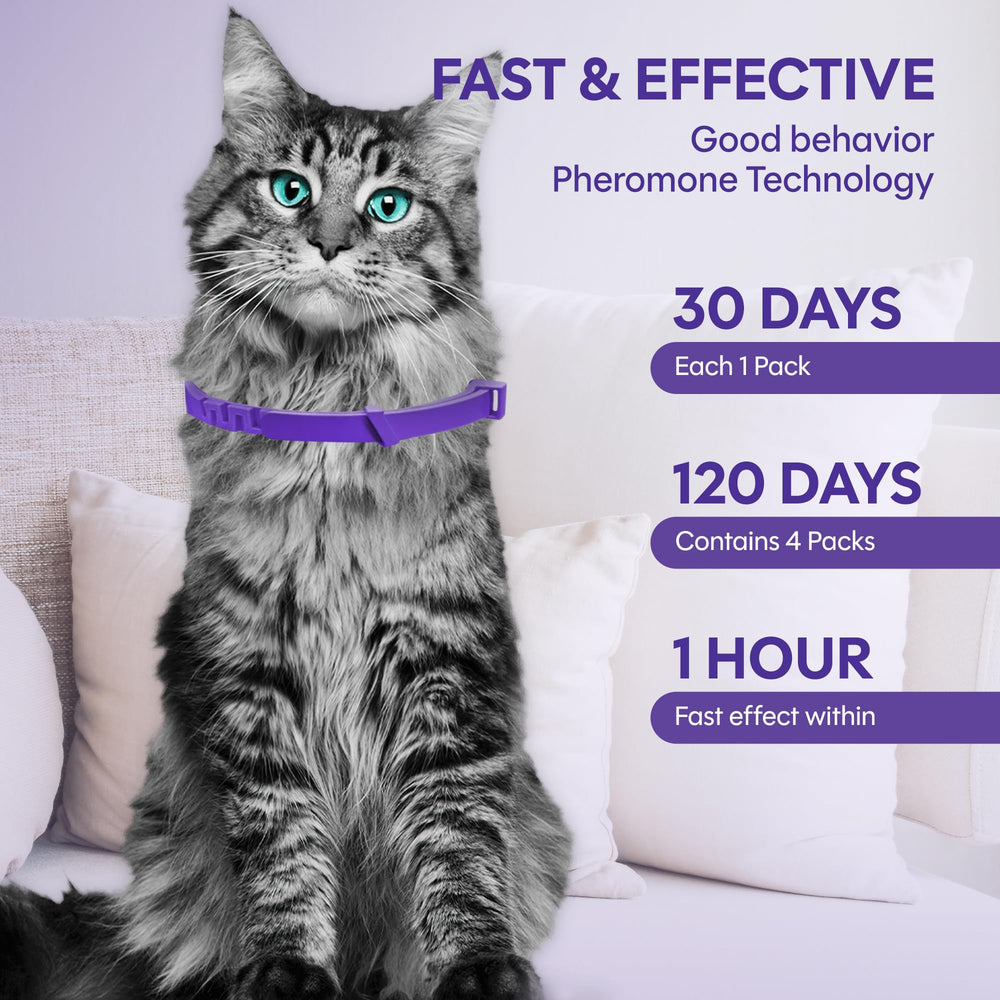 Paquete multi-gatos de TIOUPI, fácil para varios felinos