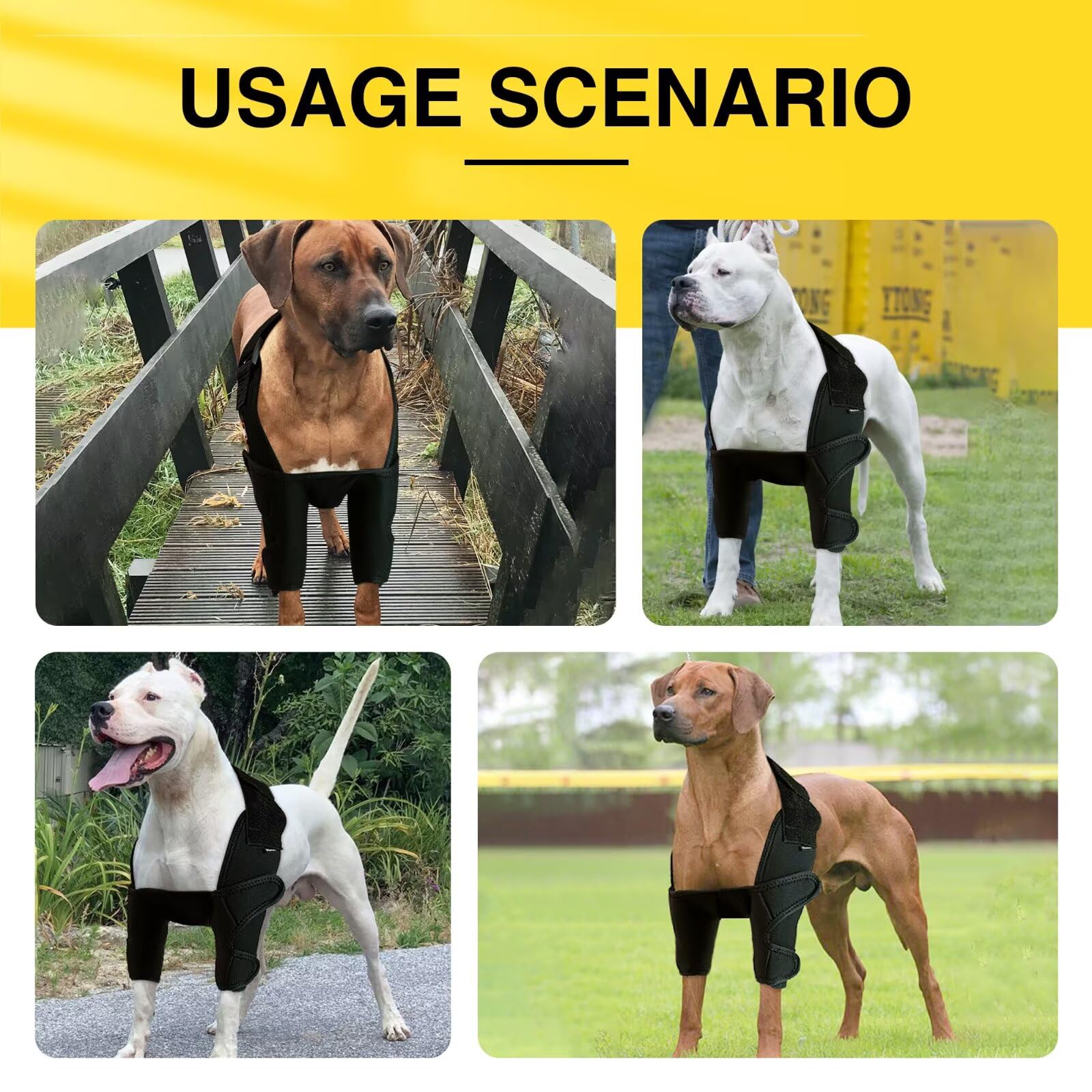 TIPOOP codera de codo para perro fácil de ponerse, protección rápida.