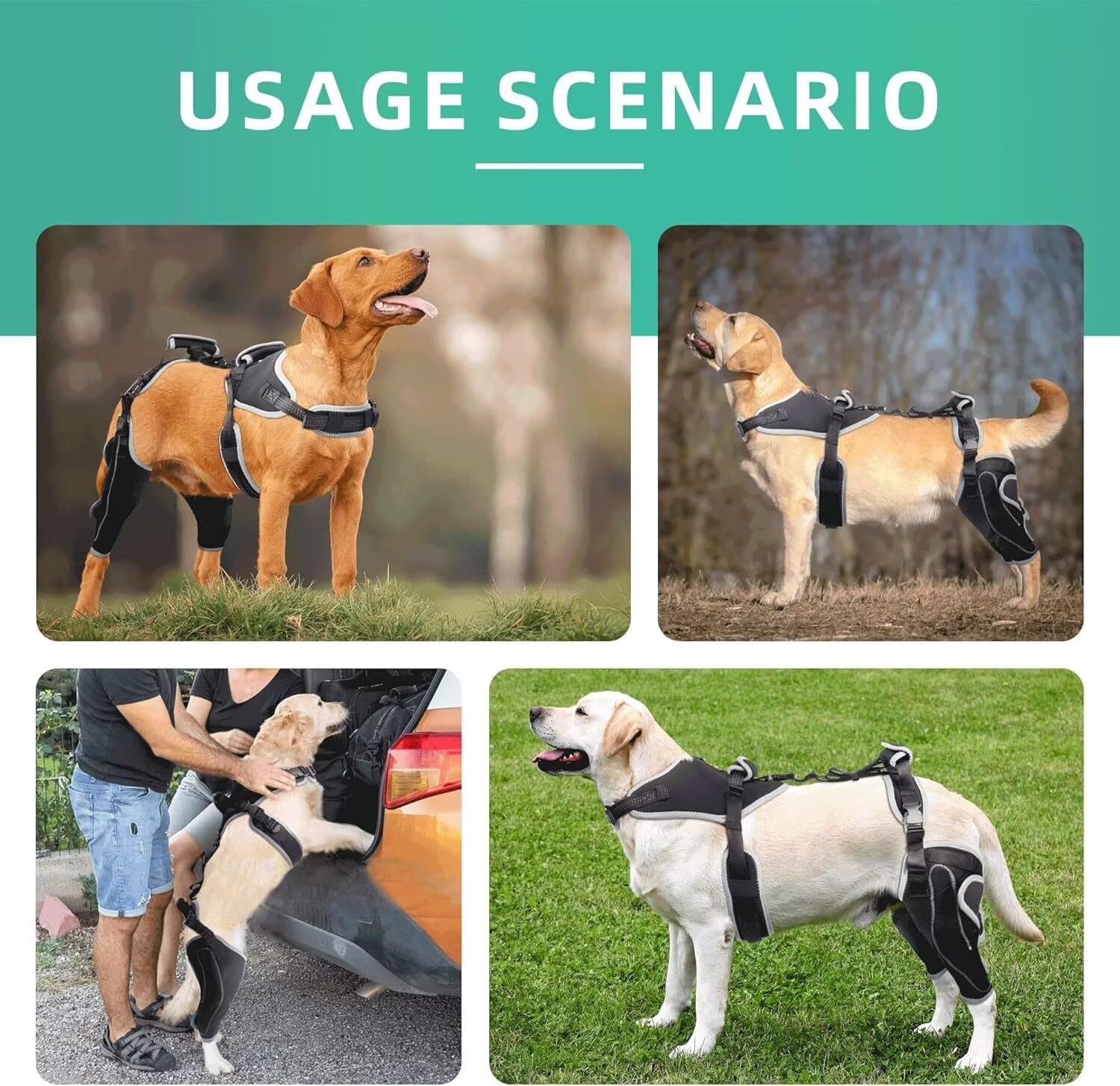 TIPOOP protector de rodilla para perro con cierre de gancho y bucle para ajuste.